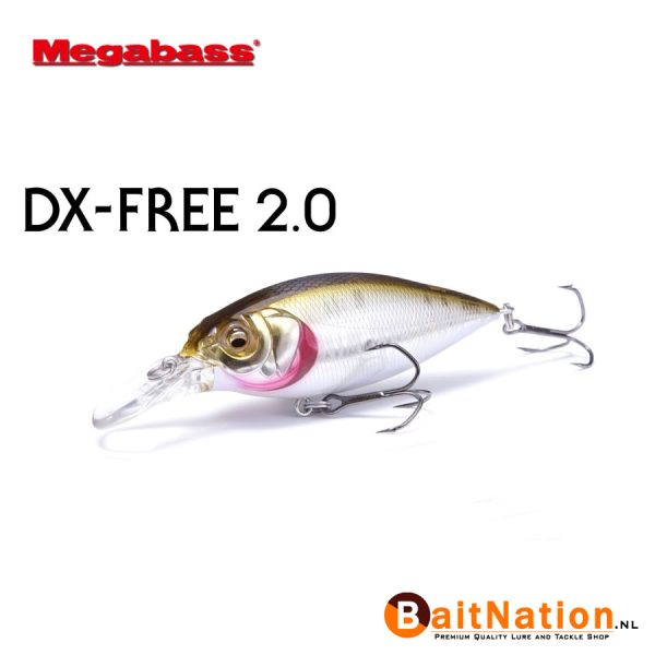 DX Free 2.0