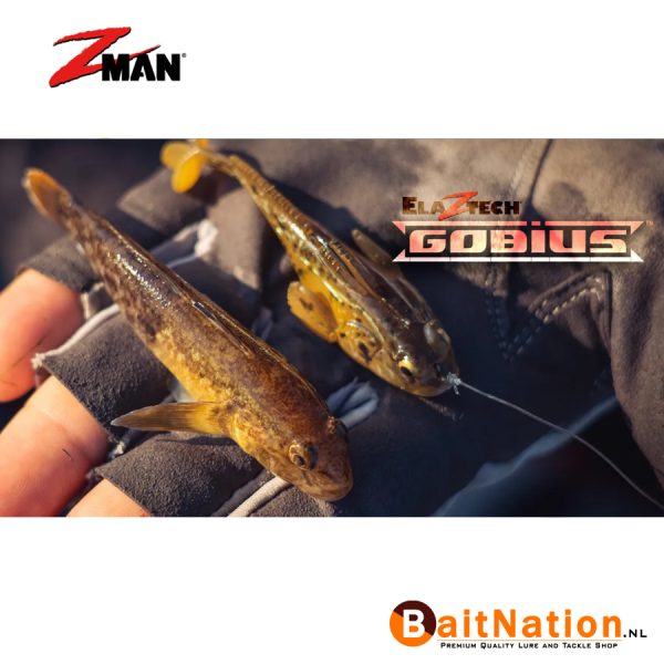 Z Man Gobius