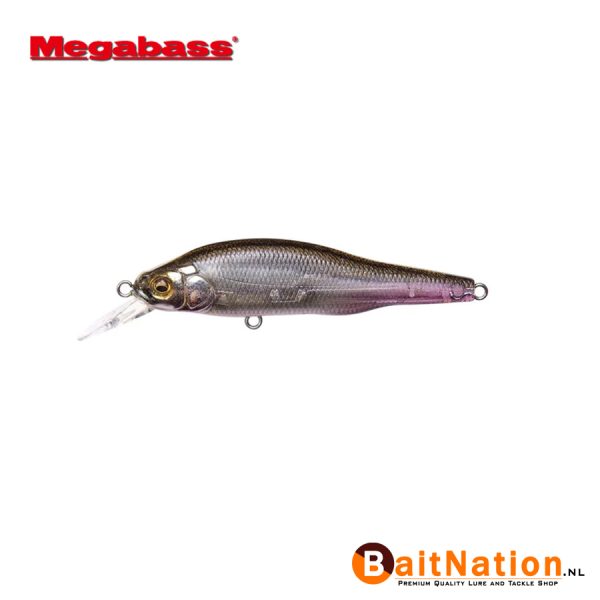 Megabass X80 Jr FA Ghost Wakasagi