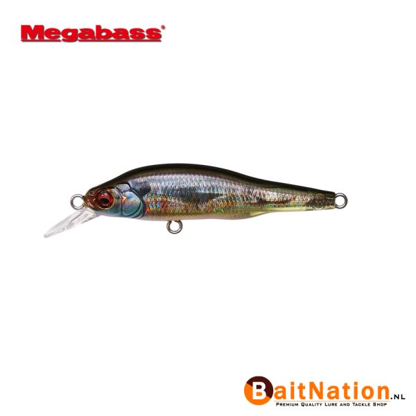 Megabass X80 Jr Fa Gill