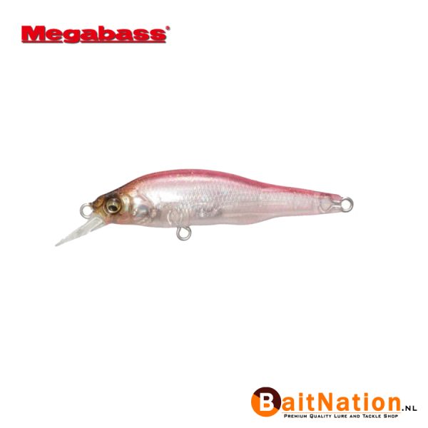 Megabass X80 Jr GLX Cotton Wakasagi